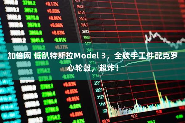 加倍网 低趴特斯拉Model 3，全碳手工件配克罗心轮毂，超炸！
