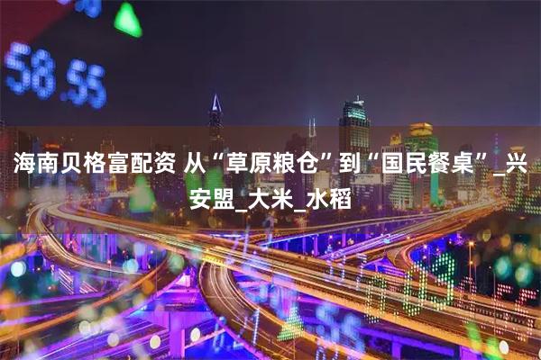 海南贝格富配资 从“草原粮仓”到“国民餐桌”_兴安盟_大米_水稻